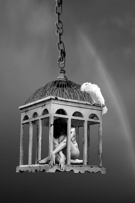 The Caged Bird Sings, Lady Godiva, Robert Doisneau, Bird Cages, Dark Photography, Black N White, White Photo, Pics Art, Bird Cage