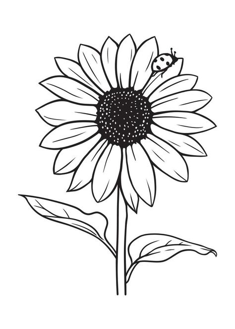 sunflower with ladybug in black and white vector illustration on white background Sunflower With Ladybug, Drawing Black Background, Sun Drawing, Lady Bug Tattoo, Sunflower Drawing, Sunflower Clipart, Black And White Birds, Black And White Vector, White Sunflowers