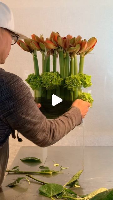 FLORAL DESIGN & WORKSHOP 🇺🇸🇵🇭 on Instagram: "Blooming Amaryllis ; Nature’s Majestic Symphony  . . . . #bloomingamaryllis #freshidea #arrangingtechniques #jun_pinon" Amaryllis Flower Arrangement, Flower Workshop Ideas, Flower Arrangements Videos, Amaryllis Arrangement, Flower Vase Ideas, Flower Arrangements Ideas, Takken Decor, Flower Vase Design, Holiday Floral Arrangements