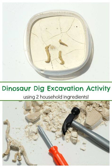 Preschool science activity. Learning about dinosaurs and going on a dino dig. Dinosaur Lesson, Dino Dig, Dinosaur Dig, Dinosaurs Preschool, Preschool Science Activities, Science Activity, Dinosaur Activities, Dinosaur Crafts, Preschool Science