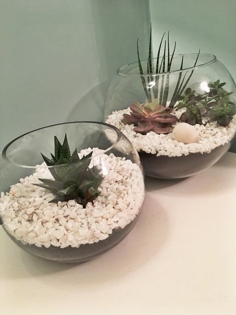 Fishbowl Terrarium, Fish Bowl Decorations, Fishbowl Centerpiece, Glass Bowl Centerpieces, Yard Ideas Diy, Hiasan Dalaman Rumah, Glass Bowl Decor, Glass Fish Bowl, Ideas Animal Crossing