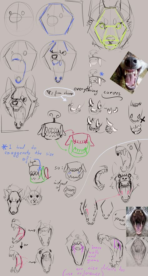 Wolf Tutorial, Wolf Sketch, Canine Drawing, Dog Anatomy, 강아지 그림, Animal Study, Wolf Drawing, Canine Art, Creature Drawings