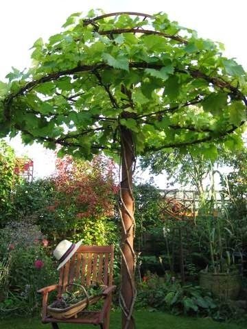 25 Easy DIY Sun Shade Ideas for your Beautiful Backyard Grape Vine Trellis, Vine Trellis, Jardim Diy, Garden Vines, Backyard Pergola, Landscape Designs, Pergola Plans, Diy Pergola, Pergola Patio