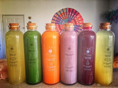 A look at a two week juice cleanse and what happens when you go on a juice cleanse. Juice cleanse by House of Alchemy Las Vegas. Baby Juice Recipes, Week Juice Cleanse, Week Detox, Cleanse Juice, Detox Day, Detox Juice Cleanse, Juice Cleanse Recipes, Vegan Baby, Vegan Cafe