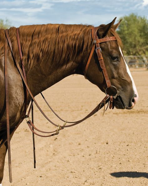 Working Cow Horse, Horse Reining, Equestrian Supplies, Western Bridles, Bitless Bridle, Horse Games, Western Tack, Horse Training Tips, Western Horse Tack