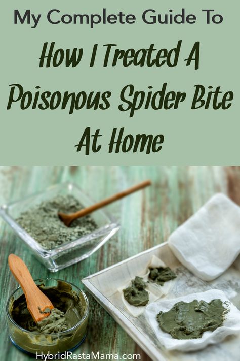 Spider Bites Remedies, Treating Spider Bites, Spider Bites Pictures, Recluse Spider Bite, Brown Recluse Spider Bite, Home Remedies For Spiders, Poisonous Spiders, Spider Bite, Holistic Pet Care