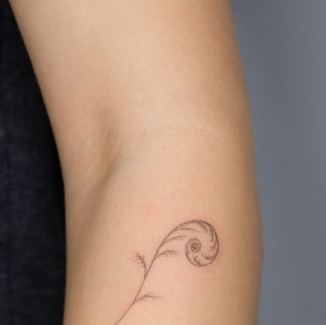 Koru Fern Tattoo, Nz Flower Tattoo, Koru Tattoo Design, Fern Stick And Poke, Koru Tattoo Maori, Curled Fern Tattoo, Tiny Fern Tattoo, Nz Tattoo Ideas, New Zealand Tattoo Ideas