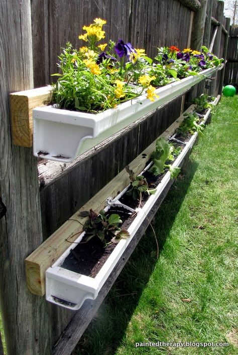 Painted Therapy: DIY Gutter Garden Diy Gutters, Small Flower Gardens, Vertical Vegetable Gardens, Start A Garden, Container Herb Garden, Gutter Garden, Garden Frogs, Vertical Vegetable Garden, Vertical Herb Garden