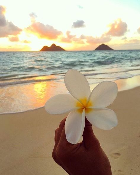 Hawaii Asthetic Picture, Wigets Pictures Aesthetic, Beach Wall Collage, Cute Summer Wallpapers, Hydrogen Water, Ocean Pictures, Nothing But Flowers, Pretty Landscapes, Preppy Wallpaper