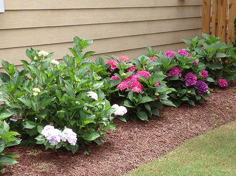 9 Super Creative Ways To Hide Your House Foundation Deck Landscaping, Landscaping Around House, Bed Idea, Mulch Landscaping, Triangle Area, Flower Bed Designs, Commercial Landscaping, House Foundation, Outdoor Paradise