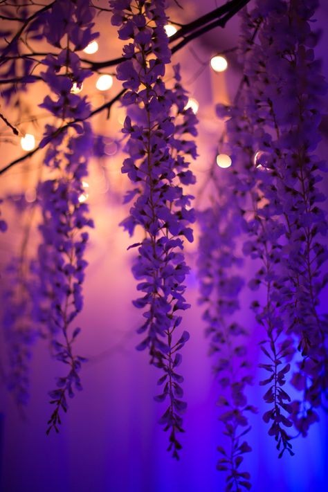 Purple Hanging Flowers, Purple Flowers Wallpaper, Purple Tree, Flowers Photography Wallpaper, Wallpaper Collage, Photographie Inspo, Pretty Landscapes, Cool Wallpapers Art, Beautiful Landscape Wallpaper