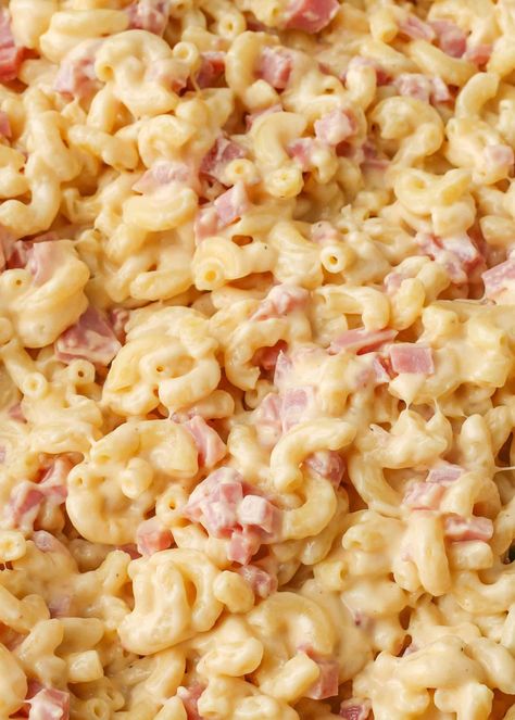 Creamy Mac And Cheese With Ham, Mac And Cheese And Ham Casserole, Ham Mac And Cheese Casserole Easy Recipes, Macaroni And Ham Casserole, Ham Mac N Cheese, Ham Mac And Cheese Recipe, Mac N Cheese With Ham, Baked Mac And Cheese With Ham, Macaroni And Cheese With Ham