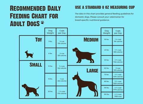 Dog Barf Diet, Raw Diet For Dogs, Barf Diet For Dogs, Cat Gadgets, Dog Diet Plan, Dog Homemade, Raw Feeding For Dogs, Diet For Dogs, Ground Beef And Potatoes