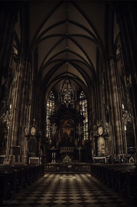 Dark Acadamia, Dark Castle, Castle Aesthetic, Gothic Cathedrals, Gothic Church, Royal Aesthetic, Slytherin Aesthetic, Gothic Aesthetic, Dark Academia Aesthetic