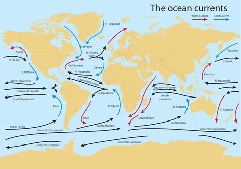 Download Ocean Current Worldmap Vector Vector Art. Choose from over a million free vectors, clipart graphics, vector art images, design templates, and illustrations created by artists worldwide! Ocean Currents Map, Biology Activities High School, Flow Drawing, Map Graphic Design, Ocean Lesson Plans, World Geography Map, Earth Science Lessons, Ocean Projects, Ocean Currents