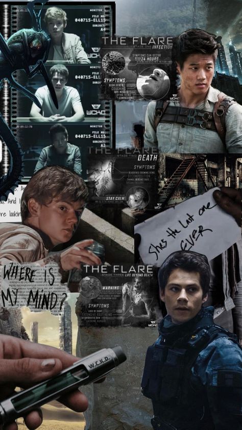 Maze Runner Collage, Maze Runner Wallpaper, Runner Wallpaper, The Maze Runner, Aesthetic Moodboard, Newt, Maze Runner, Collage