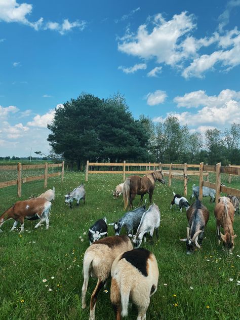 Rich Farm Life Aesthetic, Rural House Country Living, Country Farm Houses, Rural Living Country Life, Country Living Aesthetic, Country Side House, Big Country House, Farm Backyard, Rural Aesthetic