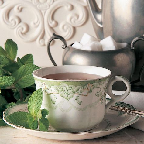 This delightful recipe makes teatime special. Dress up this homemade fresh mint tea with spices and a bit of honey if you like. —Ione Banks, Jefferson, Oregon Mint Tea Recipe, Peppermint Tea Benefits, Blackberry Tea, Fresh Mint Tea, Mint Julep Recipe, Butter Mints, Bakery Items, Cozy Drinks, Winter Tea