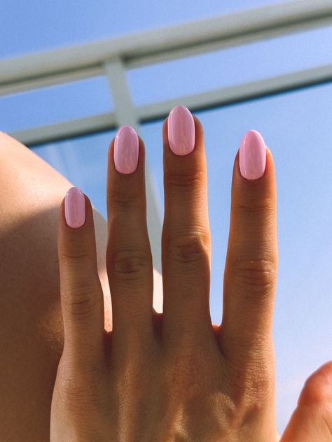 Summer #nails Nails Inspo For Mexico, Basic Summer Nail Ideas, Cute Plane Nails, Summer Nails For Tan Skin, Europe Summer Nails Short, Nail Ideas Plain Colors, Summer Gelish Nails, Summer Nails For Pale Skin, Spring Nails Oval