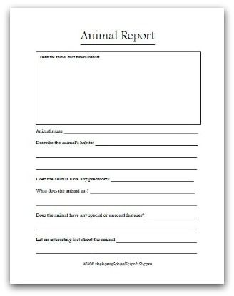 Animal Report Template (4) - TEMPLATES EXAMPLE | TEMPLATES EXAMPLE Animal Report Template, Animal Report, Research Paper Introduction, Homeschool Field Trips, Animal Classification, Free Homeschool Printables, First Grade Science, First Grade Activities, Animal Science