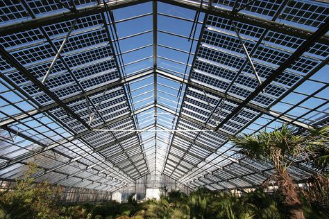 Greenhouse Solar Photovoltaic Remodeling Greenhouses For Sale, Solar Greenhouse, Heating A Greenhouse, Solar Tubes, Solar Energy Diy, Photovoltaic System, Solar House, Solar Pv, Studio Design