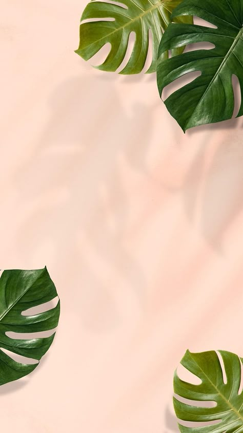 Leaves Wallpaper Iphone, Nature Verte, Pastel Background Wallpapers, Peach Background, 패턴 배경화면, Wallpaper Nature Flowers, Plant Wallpaper, Monstera Leaves, Poster Background Design