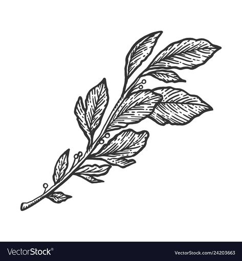 Owl Branch Tattoo, Laurel Aesthetic, Laurel Drawing, Branch Sketch, Laurel Tattoo, Tree Branch Tattoo, Laurel Branch, Woodcut Tattoo, Laurus Nobilis