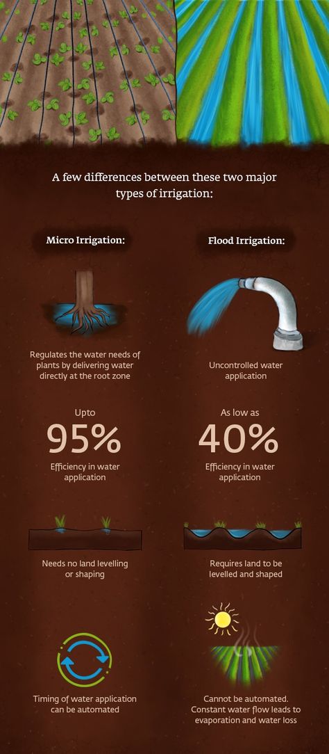 Why Micro-Irrigation Is Better Than Flood Irrigation Underground Irrigation, Agriculture In India, Water Irrigation System, Ancient Irrigation, Irrigation Methods, Farming Technology, Water Irrigation, Irrigation Systems, Future Garden