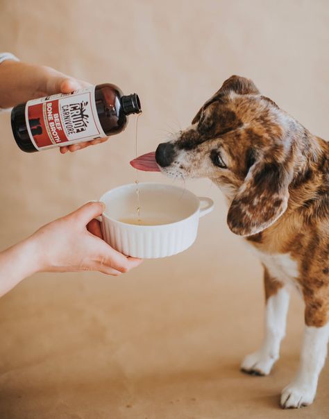 We pride ourselves in creating a low carbohydrate bone broth that will only bring health benefits to your pet's food bowl such as liver and joint support, itchy skin relief and easier digestion. Healthy supplement bone broth for pets. Bone Broth for dry dog food. Bone broth for dry cat food. Carnivore Bone Broth, Bone Broth For Dogs, Broth For Dogs, Itchy Skin Relief, Dog Day Afternoon, Beef Bone Broth, Healthy Supplements, Great Health, Beef Bones