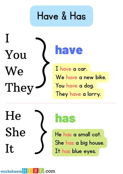 Have and Has Using and Example Sentences PDF Worksheet For Student and Kids - WorksheetsHere.com Using Have And Has Worksheet, Have Or Has Grammar, Use Of Has And Have Worksheet, Use Of Has And Have, Have And Has Activities, English For Grade 2 Student, Use Of Has Have Worksheets, Has Have Had Worksheet Grade 3, Verb To Have Worksheets For Kids