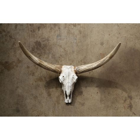 Western Living Room, Rustic Arrangements, Skull Wall Decor, Steer Skull, Brown Walls, Post And Beam, Skull Decor, Creative Co Op, Style Rustique