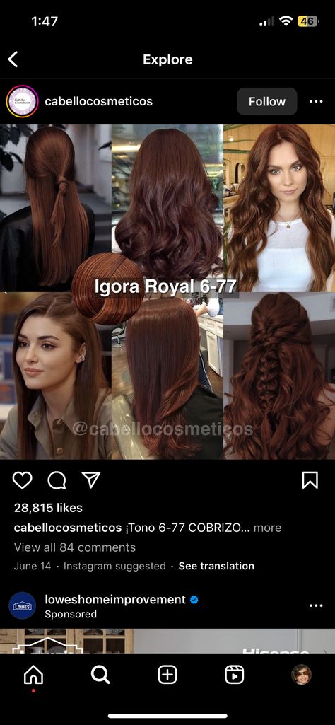 Dark Copper Brown Hair Formula, Red Brown Formula, Igora Hair Color Brown, Chocolate Copper Hair Formula, Copper Chocolate Hair, Cabello Color Chocolate Claro, One Color Hair Ideas, Chocolate Copper Hair Dark Brown, Pelo Chocolate Caramelo