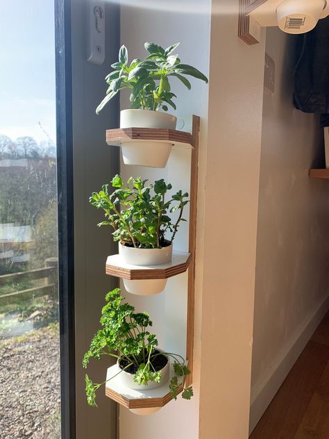 Living Wall Art, Window Planters, Vertical Planter, Garden Frame, Diy Wooden Projects, Indoor Herb Garden, Outdoor Garden Decor, Small Succulents, House Plants Decor