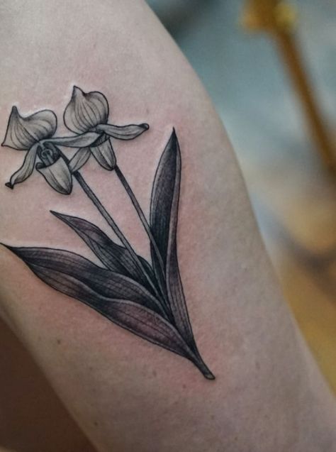 Loon Tattoo, Lady Slipper Flower, Three Kings Tattoo, Kings Tattoo, Pink Lady Slipper, Lady Slipper Orchid, Orchid Tattoo, Lady Slipper, Chic Tattoo