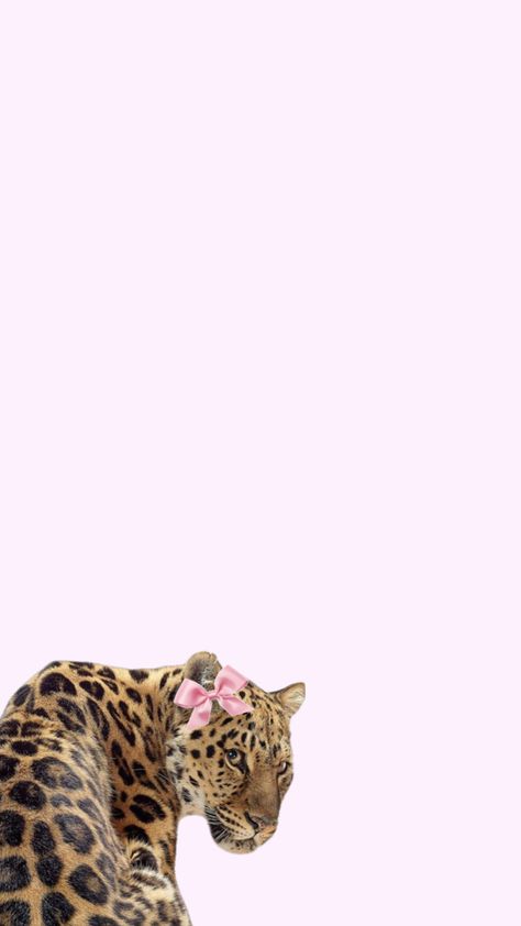 Pink Leopard Wallpaper Iphone, Pink Cheetah Wallpaper, Pink Leopard Wallpaper, Pink Ribbon Wallpaper, Glamour Wallpaper, Cheetah Print Background, فنسنت فان جوخ, Cheetah Wallpaper, Leopard Print Wallpaper