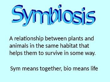 Symbiotic Relationships, Types Of Relationships, Science Biology, Different Kinds, Teaching Science, Power Point, Teacher Store, Educational Resources, Powerpoint Presentation