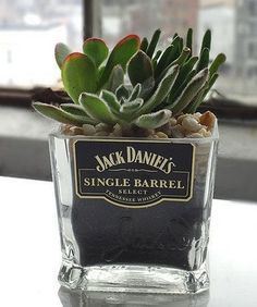 Whiskey Bottle Crafts, Empty Liquor Bottles, Alcohol Bottle Crafts, Jack Daniels Bottle, Liquor Bottle Crafts, Glass Bottle Diy, Bottle Garden, Alcohol Bottles, Diy Bottle Crafts