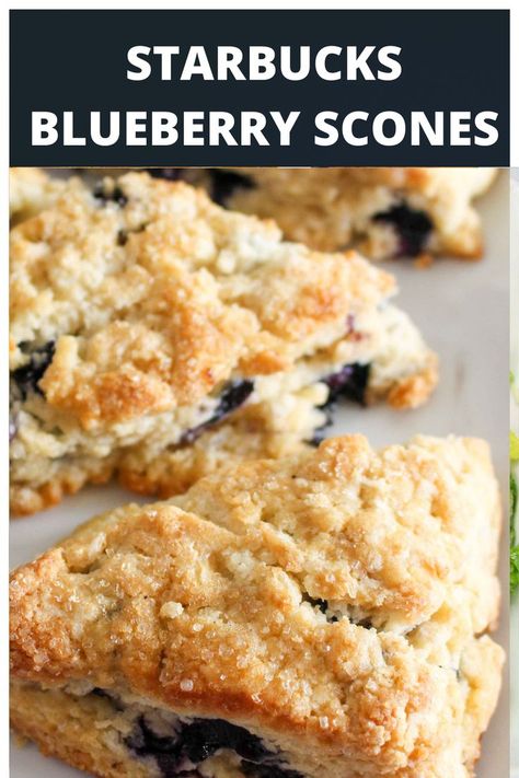 Starbucks blueberry scones Starbucks Scones, Sweet Scones Recipe, Breakfast Scones, Blueberry Scones Recipe, Cake Blueberry, Blueberry Buckle, Scones Recipe Easy, Homemade Scones, Copycat Starbucks Recipes