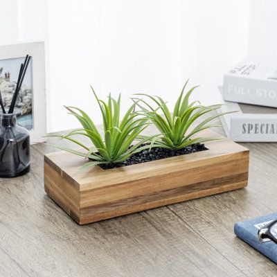 Experience the lushness of indoor greenery effortlessly with these artificial grass plants housed in a solid acacia wood decorative planter pot. This arrangement consists of two lifelike faux green grass sprouts, thoughtfully potted alongside contrasting black ornamental pebbles in a rectangular container meticulously crafted from durable acacia wood, boasting a natural finish. With a sleek and low-profile design measuring 10 inches in length, this window box becomes the perfect addition for emb Flower Pot On Table, Wooden Plant Pots, Desk Planter, Grass Plants, Wooden Container, Indoor Greenery, Faux Olive Tree, Wood Pots, Wood Planter