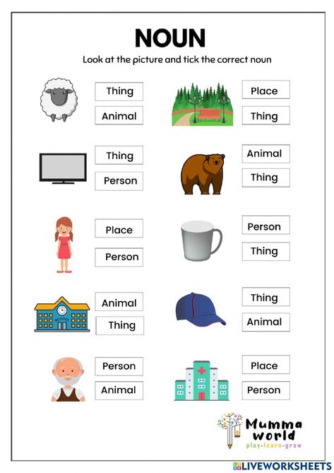 Nouns For 2nd Grade, English Nouns Worksheets, Noun For Kindergarten, Noun Work Sheet For Grade 1, Worksheet For Noun For Grade 1, Type Of Nouns Worksheet, 1st Grade Noun Worksheet, Sorting Nouns Worksheet, Noun Sorting Worksheet