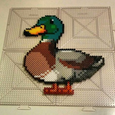 Duck perler beads by thevendelo Perler Bead Designs, Perler Creations, Easy Perler Beads Ideas, Hama Beads Design, Perler Bead Templates, Diy Perler Bead Crafts, Perler Crafts, Hama Bead, Beads Ideas