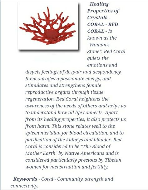 Red Coral Crystal Meaning, Bamboo Coral Meaning, Bamboo Coral Crystal Meaning, Red Coral Meaning, Coral Crystal Meaning, Coral Stone Meaning, Queen Persephone, Crystals Meaning, Crystal Identification