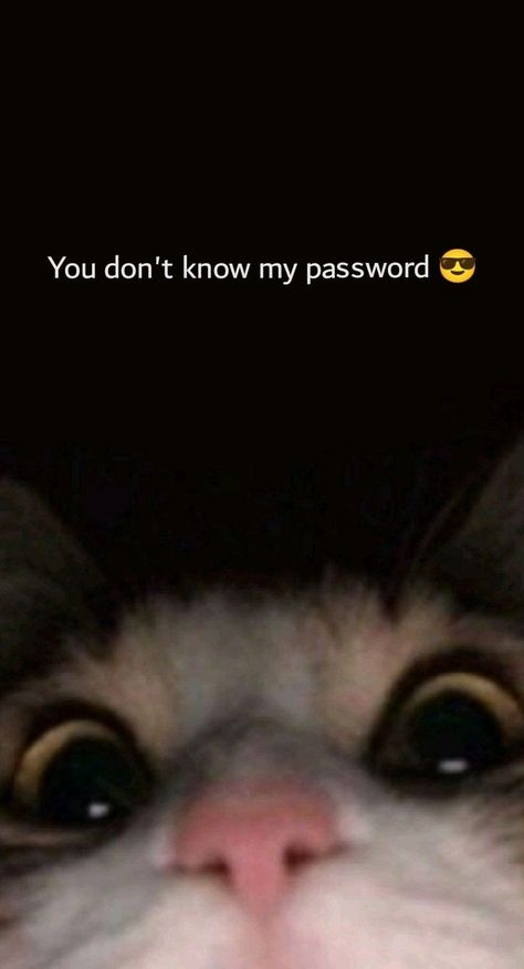 Haha You Dont Know My Password Wallpaper For Ipad, Put My Ipad Down Now Wallpaper, I See You Trying To Get Into My Phone, Why Are You Looking At My Phone, 3d Lockscreen Black, You Dont Know My Password Wallpapers, Cool And Funny Wallpapers, Cool Wallpapers For Teens, Funny Screen Savers