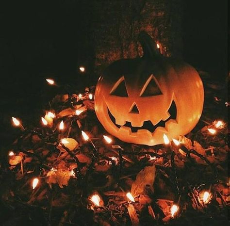 Carve Pumpkins, Favorite Aesthetic, Fall Photography, Aesthetic Images, Halloween Wallpaper, Cozy Fall, Pumpkins, This Year, Instagram Post