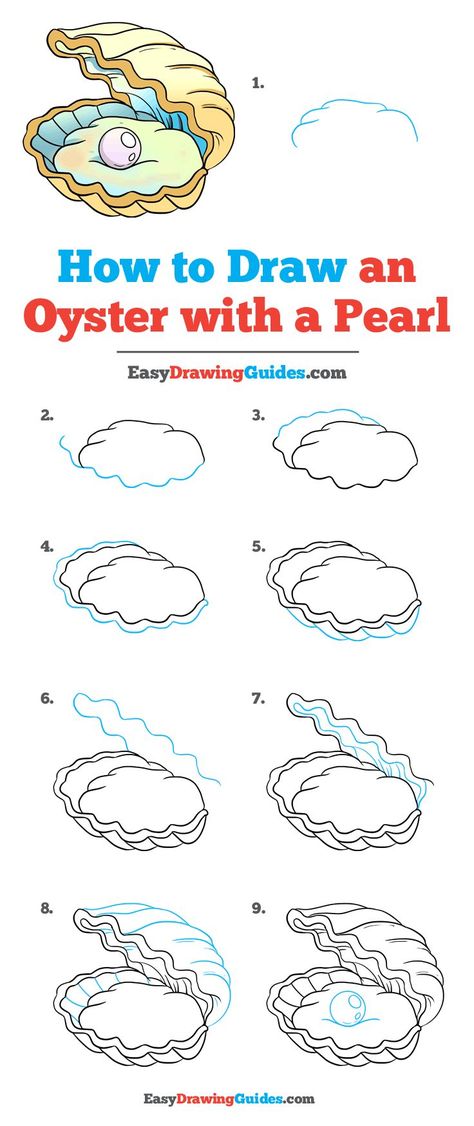 Learn How to Draw an Oyster with a Pearl: Easy Step-by-Step Drawing Tutorial for Kids and Beginners. #Oyster with a Pearl #drawingtutorial #easydrawing. See the full tutorial at https://easydrawingguides.com/how-to-draw-an-oyster-with-a-pearl/. Sea Shells Drawing Pencil, How To Draw An Aquarium, Oyster With Pearl Drawing, How To Draw Shells, Under The Sea Drawing Easy, How To Draw Sea Creatures, Mermaid Drawing Tutorial, Oyster Drawing, Under The Sea Drawing