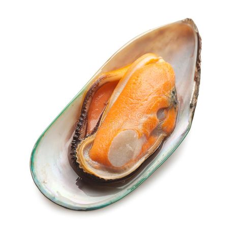 Green mussel. A single half of a green mussel isolated on white studio backgroun #Sponsored , #AFFILIATE, #paid, #mussel, #green, #studio, #single Alex Star, Green Mussels, White Studio Background, Graphic Poster Art, Studio Background, Food App, Art Model, Green Background, Sangria