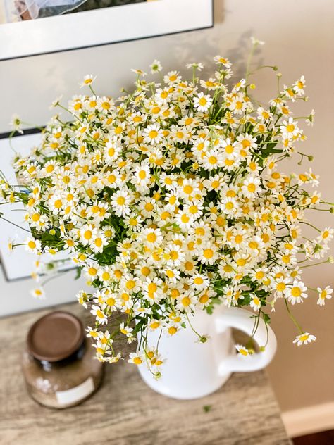 Chamomile Flower Bouquet, Chamomile Bouquet, Shower Vibes, Herb Bouquet, Bouquets Diy, Collection Board, Cute Bakery, Bedroom Redo, Flower Bouquet Diy