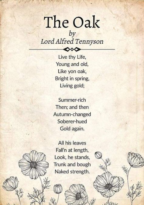 Alfred Tennyson Poems, Tennyson Quotes, Tennyson Poems, Zipper Art, Poetry Tea, Autumn Poems, Alfred Tennyson, Lord Tennyson, Packaging Prints