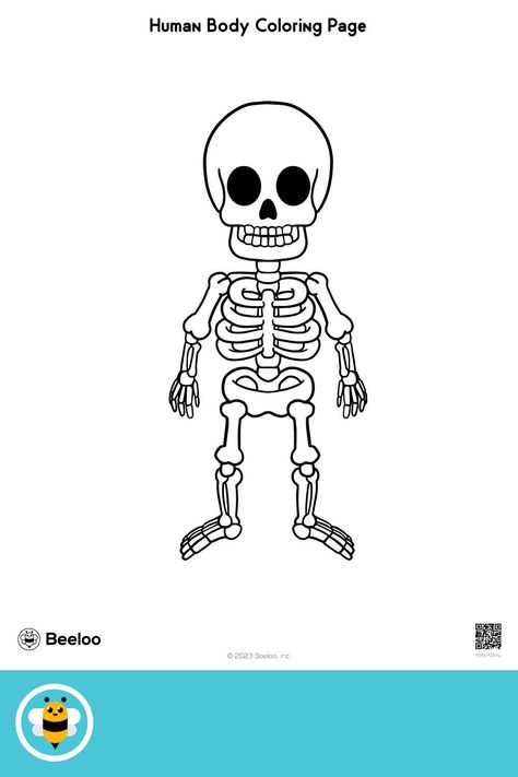 Medium human body-themed coloring page for kids ages 5 and up. Featuring: Skeleton, bones, framework Human Body Coloring Pages, Body Coloring, Free Coloring Pictures, Bone Drawing, Spongebob Coloring, Harry Potter Coloring Pages, Harry Potter Colors, Happy Birthday Coloring Pages, Santa Coloring Pages