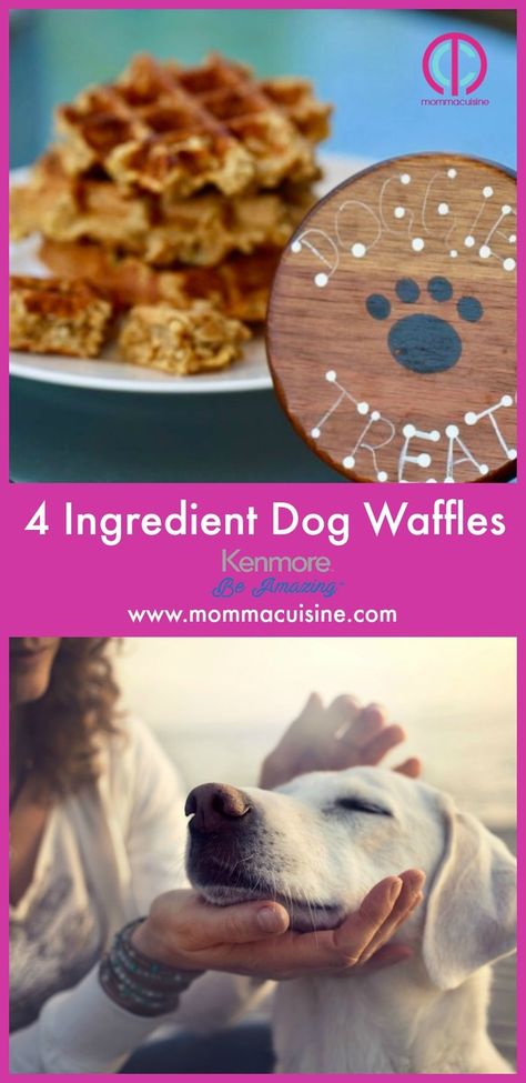 Dog Waffle Treats, Waffle Iron Dog Treats, Dog Waffles Recipes Easy, Waffles For Dogs, Dog Waffles Recipes, Recipes For Waffle Maker, Doggie Waffles, Dog Waffles, Dog Jerky